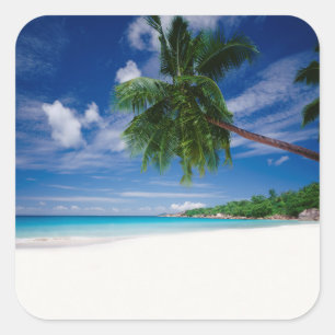 Tropical Beach Seychelles Square Sticker
