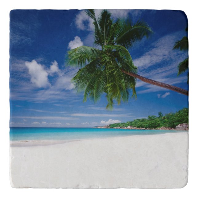 Tropical Beach | Seychelles Trivet (Front)