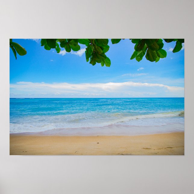 Tropical Beach Sun Sand and Sea Poster (Front)