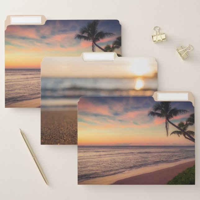 Tropical Beach,Sunset, Palm,Seashell File Folder (Set)