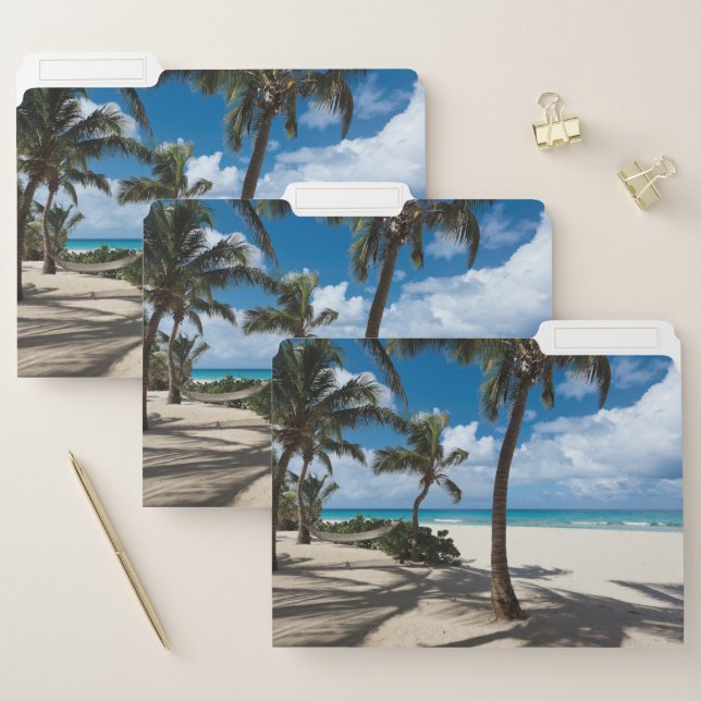 Tropical Beaches | Anguilla Beach, Palm Tree File Folder (Set)