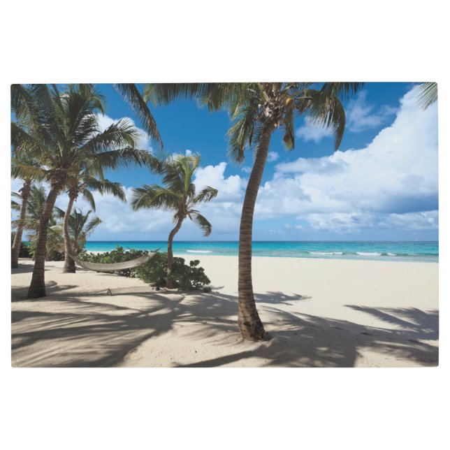 Tropical Beaches | Anguilla Beach, Palm Tree Metal Print (Front)