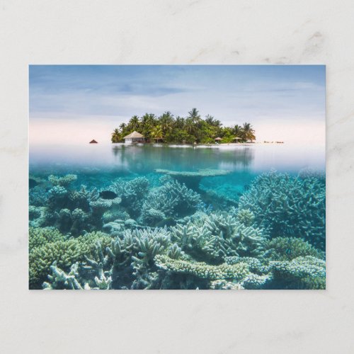 Tropical Beaches  Ari Atoll Maldives Postcard
