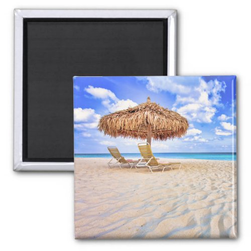 Tropical Beaches  Aruba Sandy Beach Magnet