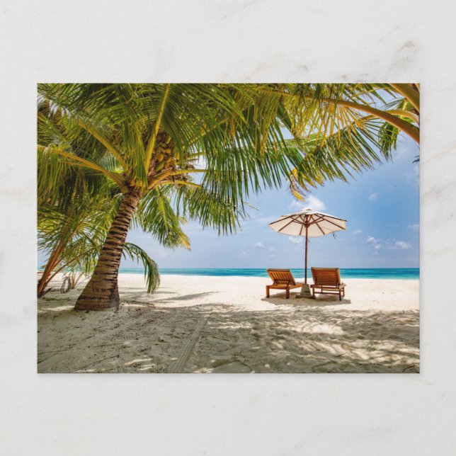 Tropical Beaches | Beach Dominican Republic Postcard (Front)