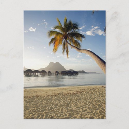 Tropical Beaches  Beach Huts Bora Bora Postcard