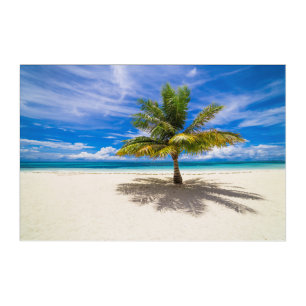 Tropical Beaches   Bora Bora, French Polynesia Acrylic Print