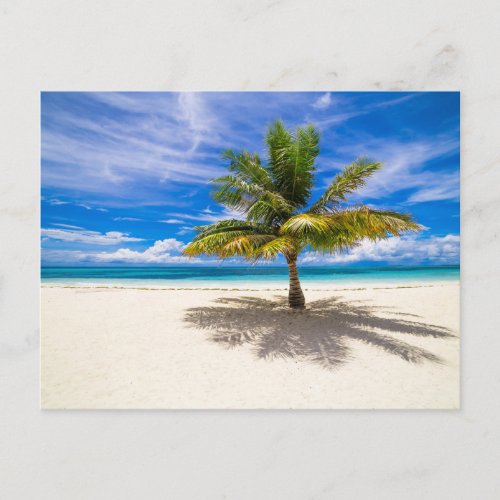 Tropical Beaches  Bora Bora French Polynesia Postcard