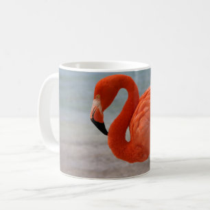 Tropical Beaches   Caribbean Flamingo, Aruba Coffee Mug