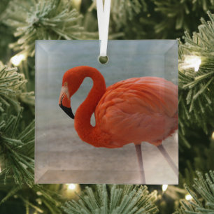 Tropical Beaches Caribbean Flamingo, Aruba Glass Ornament