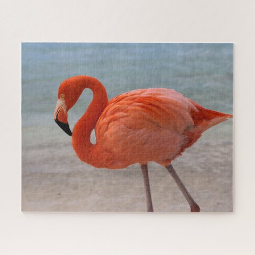 Tropical Beaches  Caribbean Flamingo Aruba Jigsaw Puzzle