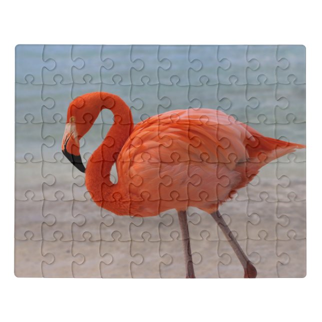 Tropical Beaches | Caribbean Flamingo, Aruba Jigsaw Puzzle (Puzzle Horizontal)