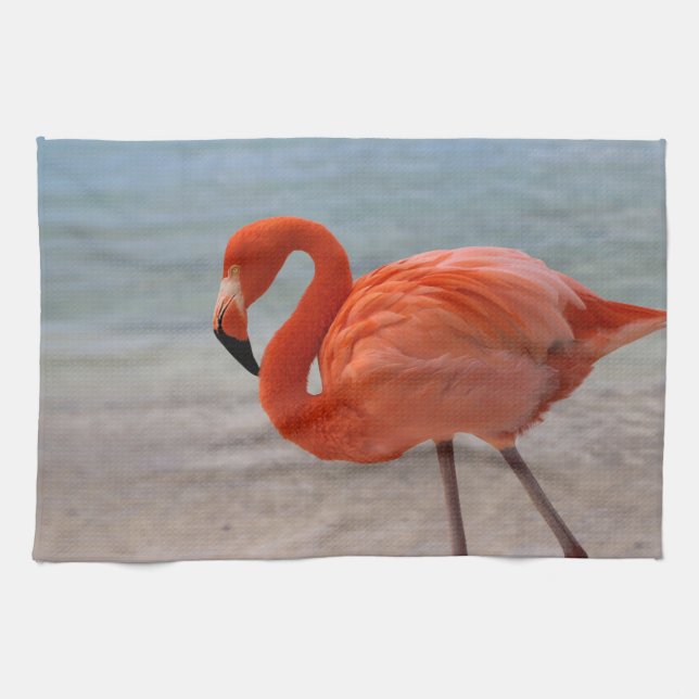 Tropical Beaches | Caribbean Flamingo, Aruba Kitchen Towel (Horizontal)