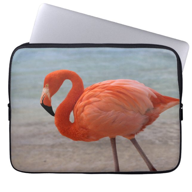 Tropical Beaches | Caribbean Flamingo, Aruba Laptop Sleeve (Front)