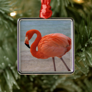 Tropical Beaches   Caribbean Flamingo, Aruba Metal Ornament