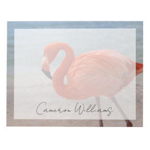 Tropical Beaches Caribbean Flamingo, Aruba Notepad