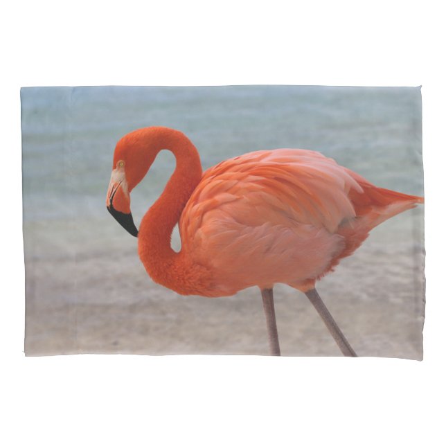 Tropical Beaches | Caribbean Flamingo, Aruba Pillow Case (Front)