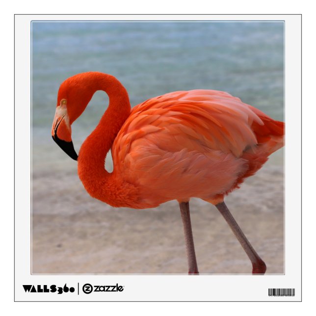 Tropical Beaches | Caribbean Flamingo, Aruba Wall Decal (Front)