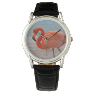 Tropical Beaches Caribbean Flamingo, Aruba Watch