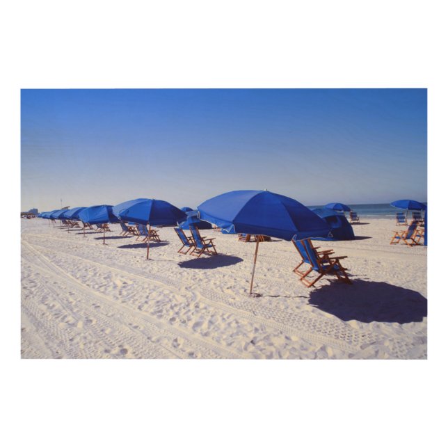 Tropical Beaches | Clearwater, Florida Wood Wall Art (Front)