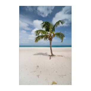 Tropical Beaches   Eagle Beach, Aruba Acrylic Print