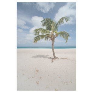 Tropical Beaches   Eagle Beach, Aruba Gallery Wrap