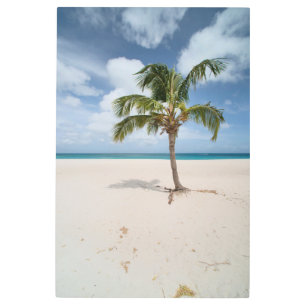 Tropical Beaches   Eagle Beach, Aruba Metal Print