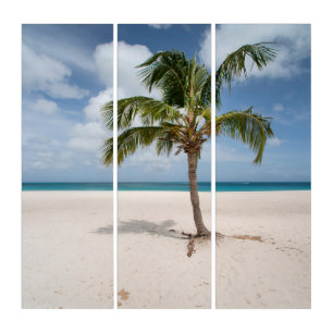 Tropical Beaches Eagle Beach, Aruba Triptych