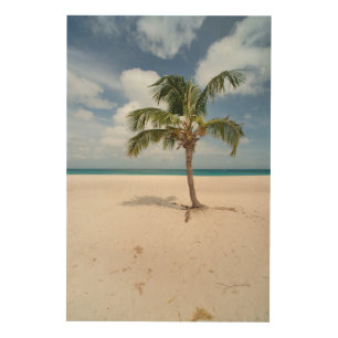 Tropical Beaches   Eagle Beach, Aruba Wood Wall Art