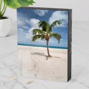 Tropical Beaches Eagle Beach, Aruba Wooden Box Sign