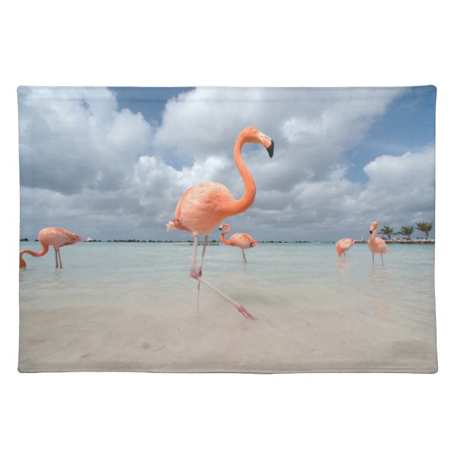 Tropical Beaches | Flamingos Beach, Aruba Cloth Placemat (Front)