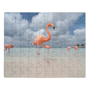 Tropical Beaches Flamingos Beach, Aruba Jigsaw Puzzle