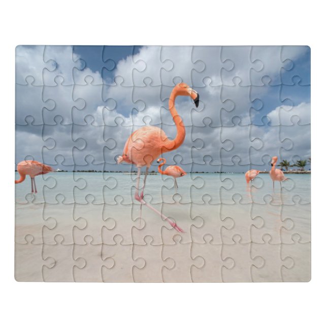 Tropical Beaches | Flamingos Beach, Aruba Jigsaw Puzzle (Puzzle Horizontal)