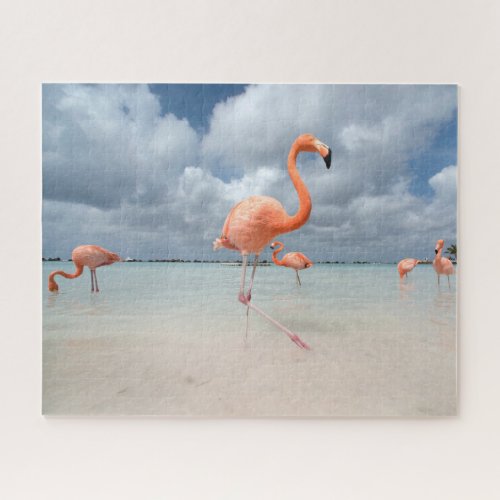 Tropical Beaches  Flamingos Beach Aruba Jigsaw Puzzle