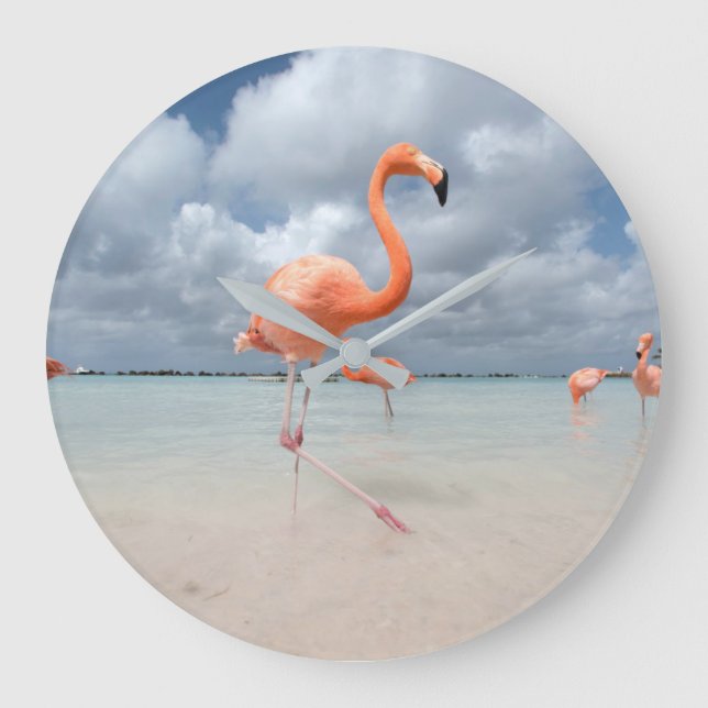 Tropical Beaches | Flamingos Beach, Aruba Large Clock (Front)