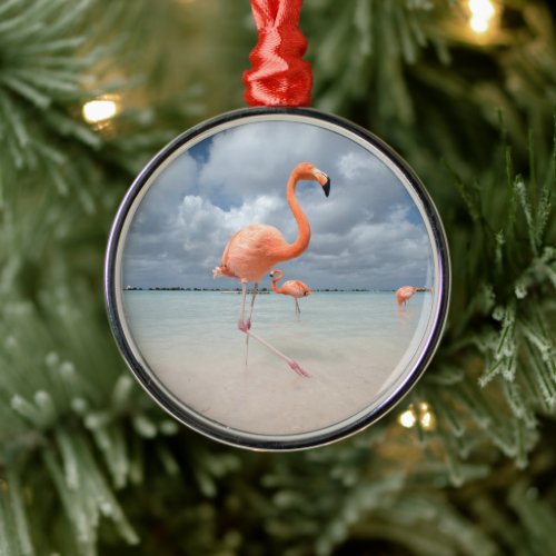 Tropical Beaches  Flamingos Beach Aruba Metal Ornament