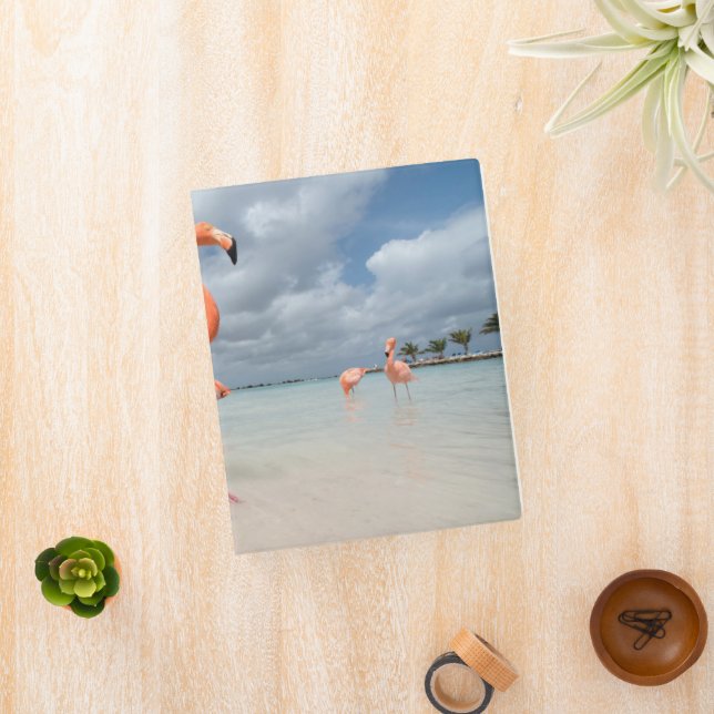 Tropical Beaches | Flamingos Beach, Aruba Mini Binder (InSitu)