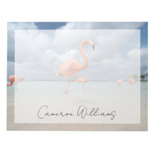 Tropical Beaches   Flamingos Beach, Aruba Notepad