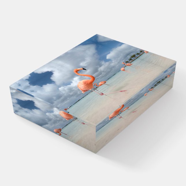 Tropical Beaches | Flamingos Beach, Aruba Paperweight (Angled)