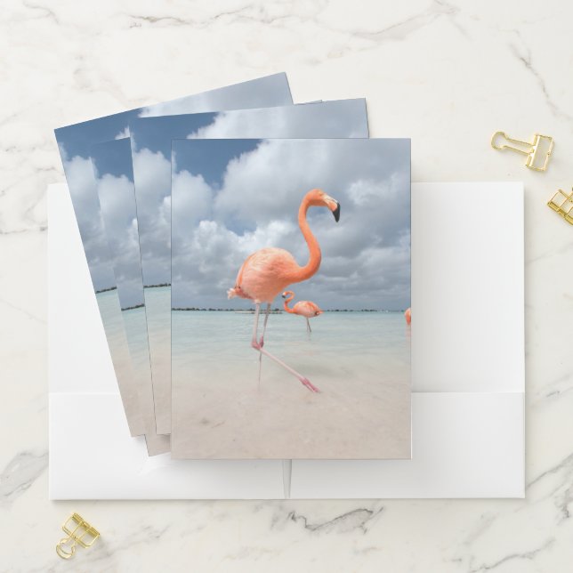 Tropical Beaches | Flamingos Beach, Aruba Pocket Folder (In Situ)
