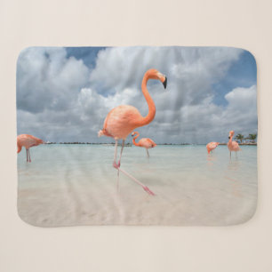 Tropical Beaches Flamingos Beach, Aruba Sherpa Blanket