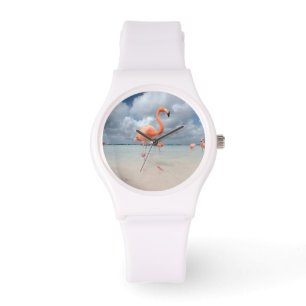 Tropical Beaches   Flamingos Beach, Aruba Watch