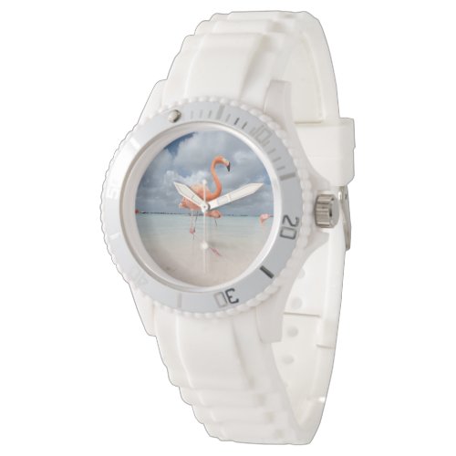 Tropical Beaches | Flamingos Beach, Aruba Watch