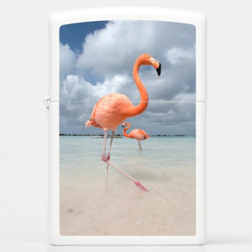 Tropical Beaches  Flamingos Beach Aruba Zippo Lighter