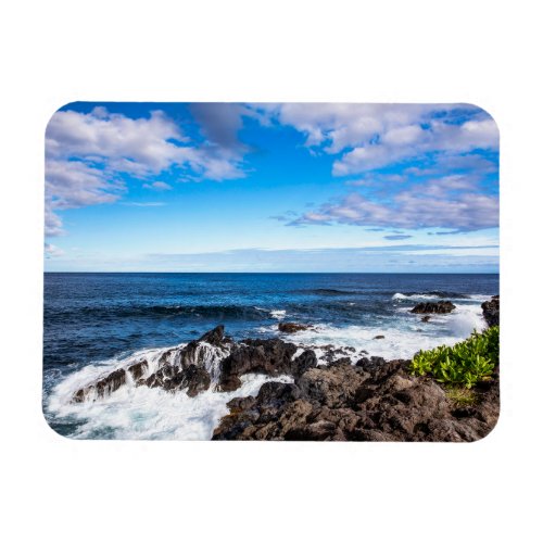 Tropical Beaches  Haleakala National Park Maui Magnet