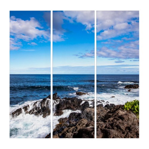 Tropical Beaches  Haleakala National Park Maui Triptych