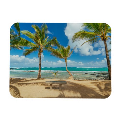 Tropical Beaches  Kuau Cove Beach Maui Hawaii Magnet