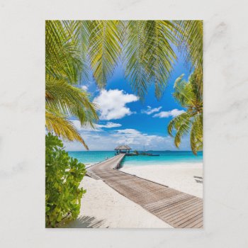 Tropical Beaches | Maldives Island Wooden Jetty Postcard by intothewild at Zazzle