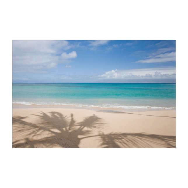 Tropical Beaches | Maui, Hawaii Acrylic Print (Front)