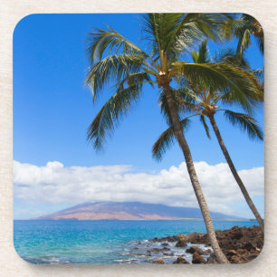 Tropical Beaches Maui Hawaii Island Beverage Coaster